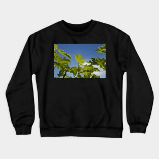 Fig Leaves Crewneck Sweatshirt